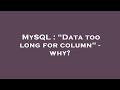 MySQL : 