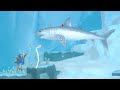 Where to Find a Porbeagle Shark in Dave the Diver