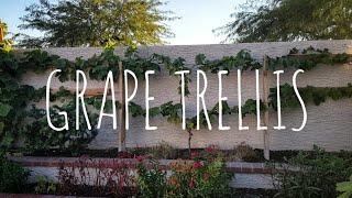 Diy Grape Trellis Plans Woodworking Challenge