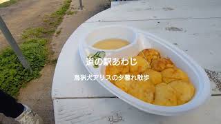 18.春の【道の駅あわじ】淡路市 海鮮や明石焼きを食べながら絶景の明石海峡大橋が楽しめる道の駅 (夏✕)