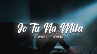Jo Tu Na Mila (Slowed+Reverb) | Asim Azhar | Diosic