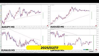 【RCCで振り返る】2025年02月17日対オージーの4通貨ペア