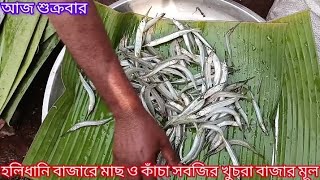 হলিধানি বাজারে মাছ ও কাঁচা সবজির খুচরা বাজার মূল