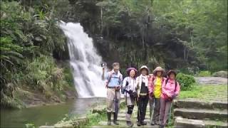 嘉義縣瑞里圓潭溪瀑布群 2019 06 梅雨季(豐水期)