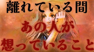 【心の裏側、、本当の想い💛💦】離れている間あの人が想っていること💜鳥肌、、驚きの展開🦋✨距離の空いた関係、音信不通、複雑恋愛、障害のある恋、遠距離、疎遠、引き寄せ、願望、予祝、急展開🪐