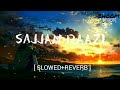 Sajjan Raazi [Slowed+Reverb]-Satinder Sartaaj