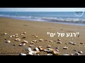 דמיון מודרך לילדים ולילדים בנפשם לשינה טובה ומתוקה