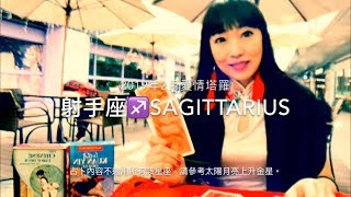 射手座2月愛情占卜❤️咪咪愛塔羅♐️Sagittarius February 2019 Love Tarot Reading