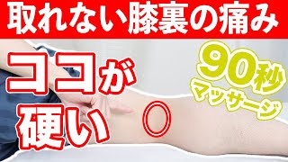 【自分で治す!!】取りきれない膝裏の痛みを90秒で解消するマッサージ【東京　膝の痛み】東京都渋谷区恵比寿の整体院蒼