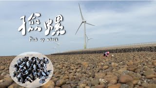 退大潮潮間帶撿螺! 螃蟹?海參?綠貝? 跟我一起到海邊尋寶吧~｜Homemade  ｜ countryside life ｜Pick up whelk 刻夢【kedream】