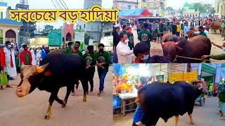 বড় হাদিয়া। ০৮ই মাঘ। ১০ই মাঘ ওরশ শরীফ