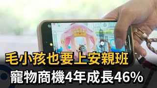 毛小孩也要上安親班　寵物商機4年成長46％－民視新聞