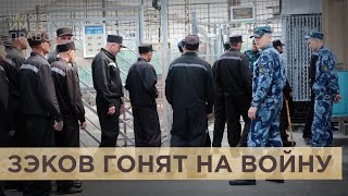 Тысяча заключенных в день. Минобороны ждет пополнения из российских колоний
