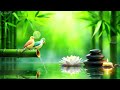 relaxing spa music with gentle water sounds immerse yourself in calm and serenity 🌿