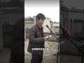 苦中作樂 人生 搞笑 生活 comedy