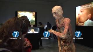 HUMAN BODY EXHIBITION: GETTONATISSIMA IN QUESTE FESTE