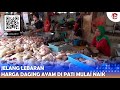 JELANG LEBARAN, HARGA DAGING AYAM DI PATI MULAI NAIK