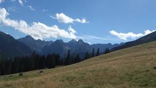 Polana Rusinowa - Tatry (Polsko) - 2020