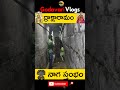 nagasthamba in draksharama... godavarivlogs draksharamam bheemeshwaraswamy