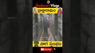 ద్రాక్షారామంలో నాగస్తంభం....? #godavarivlogs #draksharamam #bheemeshwaraswamy