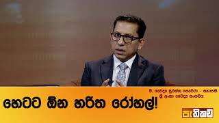 රෝහල් ඉදිකිරීම සඳහා වූ ගොඩනැගිලි නිර්මාණ ශිල්පයක් අවශ්‍යයි!