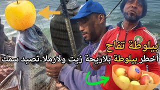 بيلوطة تفاح .سر رايس تجو. وصفة سحرية بلازيت ولارملا.صيد كل أنواع سمك في بحر سلا 🎣