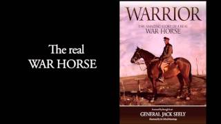 WARRIOR - The Real War Horse