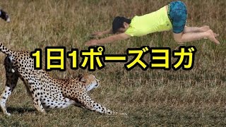 1日1ポーズヨガ　ねこの背伸びのポーズ