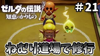 物語は後半へ！ねむり道場で修行『ゼルダの伝説 知恵のかりもの』を実況プレイpart21