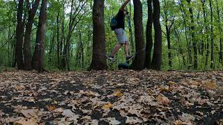 Shock training in the forest park