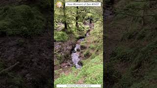 ScienceMan Moment of Zen 0457 #peaceful #ireland #wicklow #nature #beautiful #river #asmr