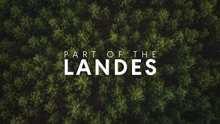 THE LANDES | 4K TRAVEL 🌲