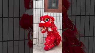 So cute. A two-year-old baby girl is performing the lion dance #lionsdance #babygirl #cute