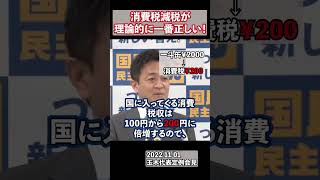 【国民民主党】空前の消費税収増収見込み！？消費税減税は理論的には今一番正しい政策【切り抜き】#shorts