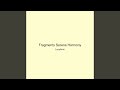 Fragments Serene Harmony