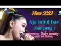 NEW 2023 - AJA UDUD BAE ( bangseng ) - SUSY ARZETTY, COVER BY: DESY PARASWATI - DESY PARASWATI GROUP