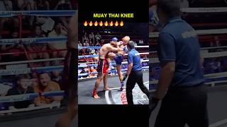 Muay Thai knee kick #muaythai #mma #martialarts #kickboxing