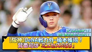 【阪神】DeNA戦力外・楠本獲得！背番号は「ミエセスの55」【なんJ/2ch/5ch/ネット 反応 まとめ/阪神タイガース/藤川球児】