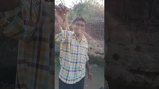 🖐️హాయ్ ఫ్రెండ్స్ దిని పేరు గంగ రోయా🦐🦐#viralshortvideos