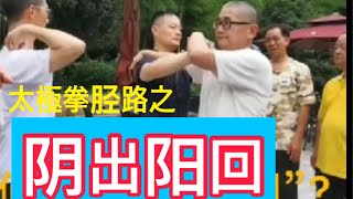 太極拳胫路-阴出阳回- －多庐杨式叶家太极拳的特色教拳-二水老师