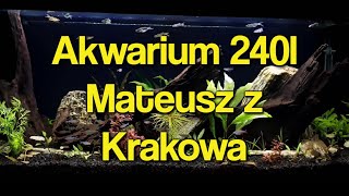 START AKWARIUM 240 litrów opowiada Mateusz z Krakowa