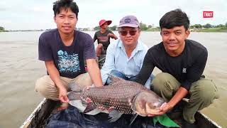 វីដេអូ៖ ត្រីរាជមួយក្បាលទំងន់ដល់ទៅ ៤៦ គីឡូក្រាម និង មានប្រវែង ១៥៧ ស ម ត្រូវបានអ្នកនេសាទចាប់បាន