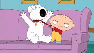 Family Guy Stewie Griffin Funniest Moments