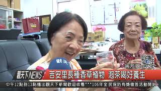 1060927觀天下新聞HD07 瑞芳區吉安里長種香草植物 泡茶喝好養生