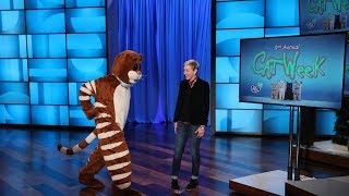 Ellen Kicks Off 2018 Cat Week Right Meow!