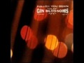 Gin Blossoms-Seeing Stars (live)