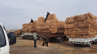 Хамелеон чөпБазары / Пресстердин баалары, ушундай пайдалуу маалыматка ЛАЙК басып группаларга бөлүшүү