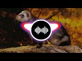 Branco - HUNDO [Bass Boosted]