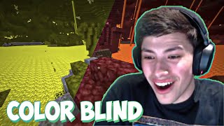 This is how GeorgeNotFound sees Minecraft (color blind)