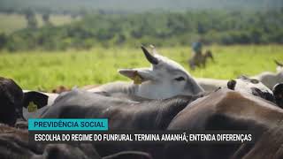 Previdência Social: escolha do regime do Funrural termina amanhã (31); entenda diferenças